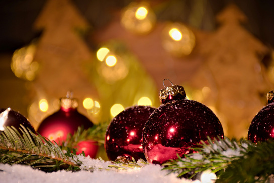 BVPPT Newsletter Dezember 2025